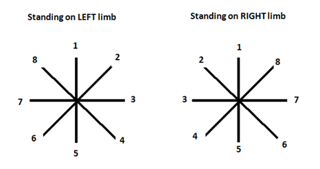 Star balance test ankle sprain