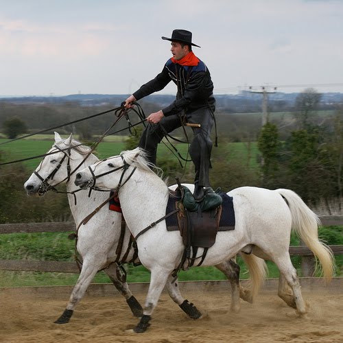 Physio for Common Equestrian Injuries